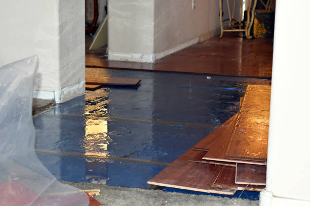 Professional Basement Flood Cleanup technician working in Kerby, OR